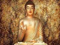 苏州鑫鸿泰电子科技有限公司